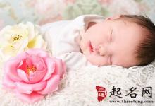 姓薛的男孩名字大全2018屬狗
