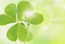 天機(jī)星在遷移宮