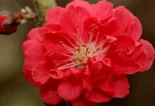 《公篤相法》下篇卷八 卷九