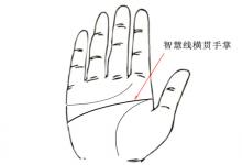 手相智慧線橫貫手掌算命圖解
