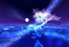 2019年今天七夕出殯吉利嗎,七夕節(jié)的來歷是什么?