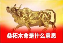 壬子癸丑桑柘木命是什么意思