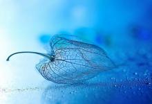 什么八字的人最敗家