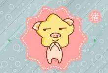 屬豬的最為適當婚配屬相是什么 有哪些