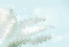 門牙又大又凸對運勢有什么影響