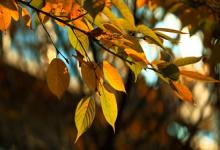 2019年農歷八月初三日子好不好是理發吉日嗎?