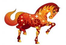 屬馬養(yǎng)魚養(yǎng)幾條好，魚缸的朝向