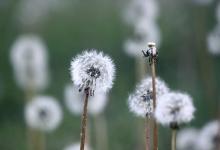 屬牛女和屬牛男有緣分嗎 會相沖相克嗎?