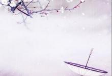 太陽星在兄弟宮