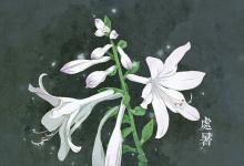 2019處暑具體時(shí)辰是多少 處暑時(shí)辰吉兇分析!