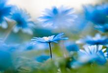 天梁星在疾厄宮