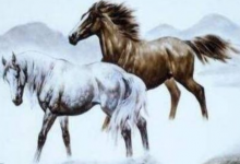 屬馬的佩戴什么生肖好,屬羊屬虎屬狗