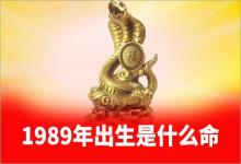 1989年出生是什么命大林木命