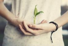 患有肝病的手紋手相如何