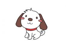 1994年屬狗的幾月出生優(yōu)秀,94年屬狗人一生命運如何