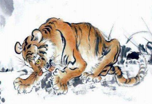 屬虎2019年下半年運勢