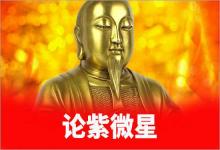 紫微斗數(shù)入門論紫微星