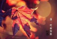 立秋下雨有什么說(shuō)法 立秋下雨萬(wàn)物生是什么意思?