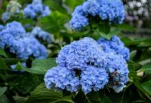 2019年陰歷七月廿六適合出殯嗎,今天是出殯行喪吉日嗎?