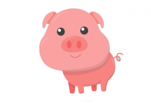 71年屬豬48歲以后的命運