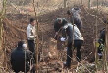 復(fù)三上墳是什么意思