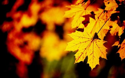 2019年秋分是不是吉日 2019秋分是幾點幾分？(圖文)