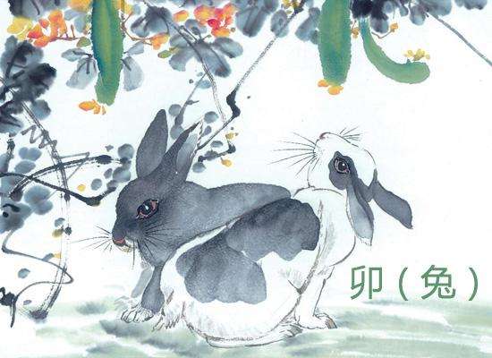 屬兔未時出生是什么命？哪個時辰出生的生肖兔好？(圖文)
