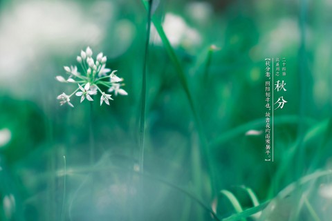 秋分民政局有上班嗎 2019秋分這天可以登記結(jié)婚證嗎(圖文)