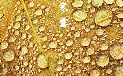 生肖屬羊的人寒露節氣出生好不好 命運好嗎？(圖文)