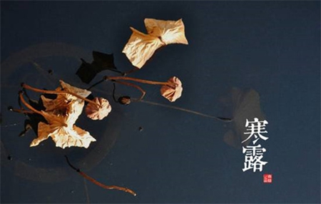 2019年寒露后一天九月十一是出殯吉日嗎,什么是寒露風(fēng)？(圖文)