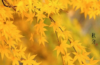 秋分以后還會熱嗎 天氣轉冷了嗎？(圖文)