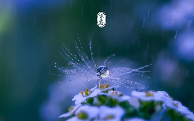 10月8日寒露節(jié)氣出生的屬猴人命好不好？(圖文)