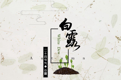 2019年9月8日白露節氣丑時出生的人命好不好？(圖文)