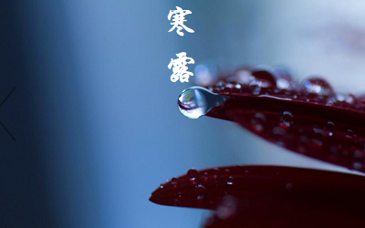 出生在10月8日寒露節氣的屬龍人命理解析！(圖文)