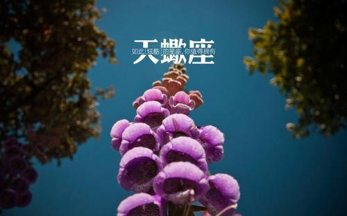 2019年農歷九月二十九出生屬豬的人是什么星座？不同性別分析(圖文)