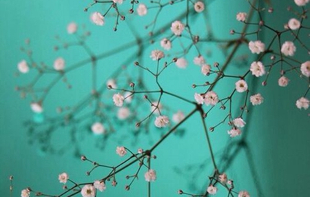 2019年九月十一寒露后一天簽約好嗎,寒露諺語解析！(圖文)