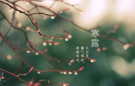 2019年10月8日寒露是不是黃道吉日,寒露三候是什么？(圖文)