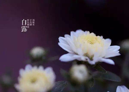 2019年9月8日白露可以喬遷新家嗎,什么月份不宜搬家？(圖文)