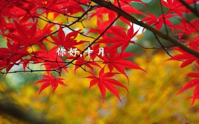 農(nóng)歷十月的豬寶寶好嗎 豬寶寶幾月出生最好？(圖文)