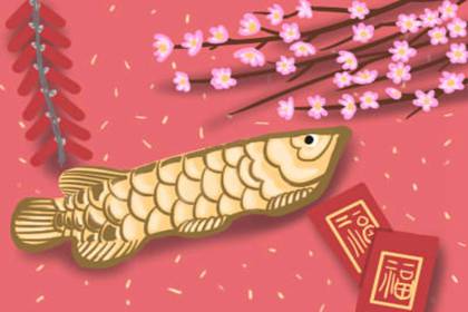 夢見雞鴨成群預(yù)示什么 招惹麻煩(圖文)