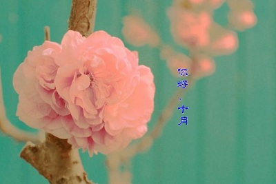 農(nóng)歷十月的豬寶寶好不好 2019年農(nóng)歷十月哪天出生好？(圖文)