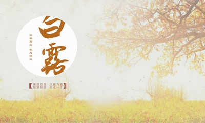白露是二十四節氣中的第幾個節氣？(圖文)