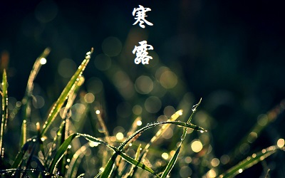 出生在10月8日寒露節氣的屬龍人命理解析！(圖文)