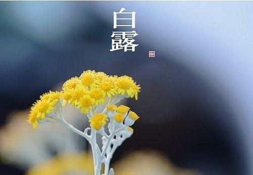 2019年白露是幾月幾號幾點幾分 老黃歷卦象如何？(圖文)