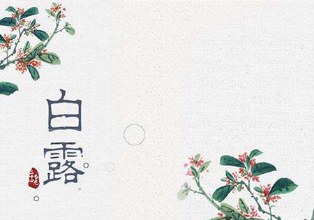 白露是什么節(jié)氣,白露是下一個(gè)節(jié)氣是秋分嗎？(圖文)
