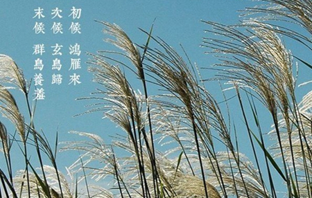 2019年9月8日白露這天沖什么生肖,白露吃雞有什么含義？(圖文)