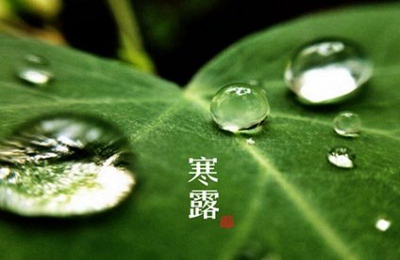 出生在寒露節氣的屬牛人命是不是不好？(圖文)
