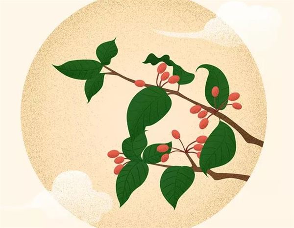 2019年重陽節(jié)不宜裝修房子嗎,重陽節(jié)不能說節(jié)日快樂嗎？(圖文)