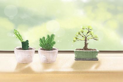 女人夢見植物發出新芽預示什么意思(圖文)