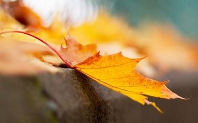 2019年秋分有那些事情不適合做 秋分過后天氣冷不冷？(圖文)